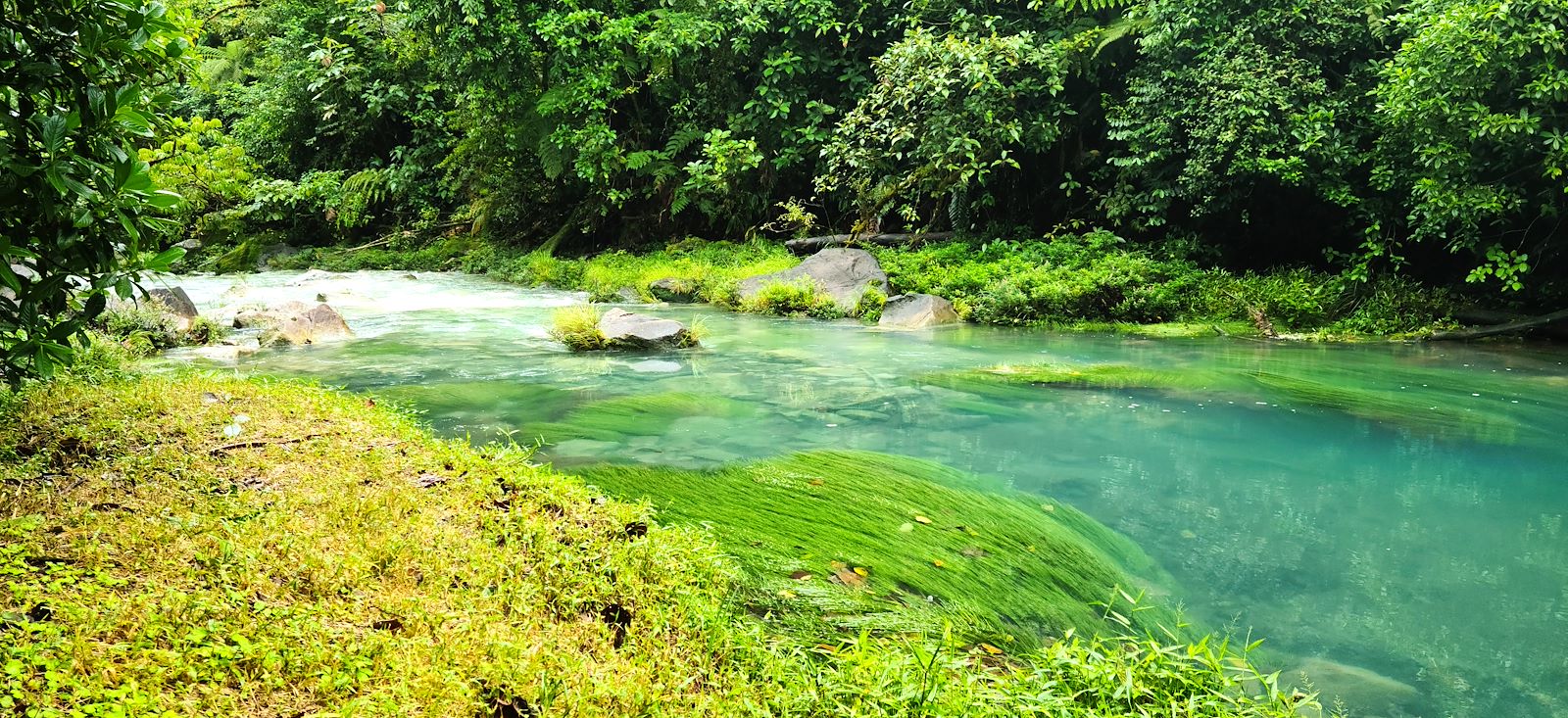 Image Aventure Costaricienne !