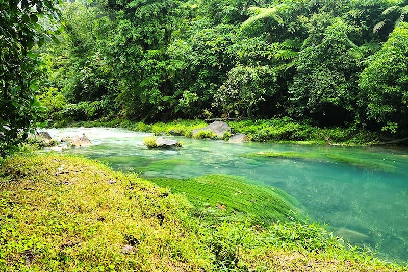 Rio Celeste au Parc national Volcán Tenorio - Guanacaste/Alajuela - Costa Rica