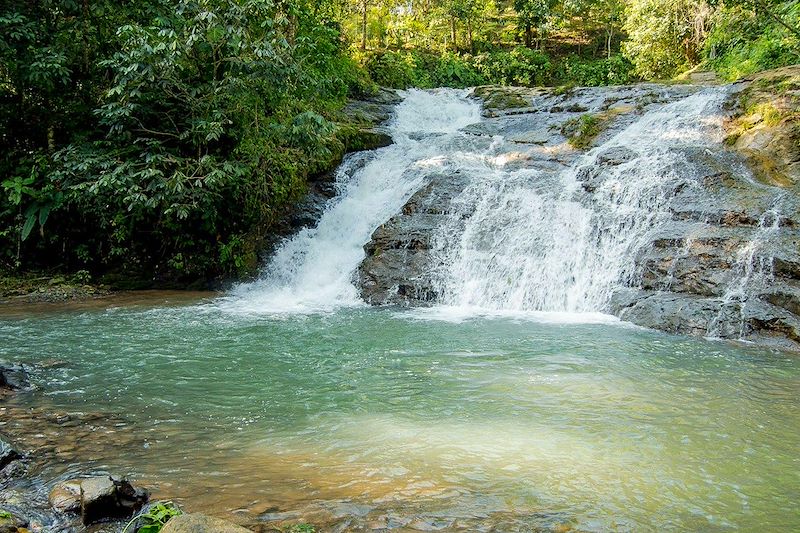 Cascade vers Los Campesinos - Costa Rica