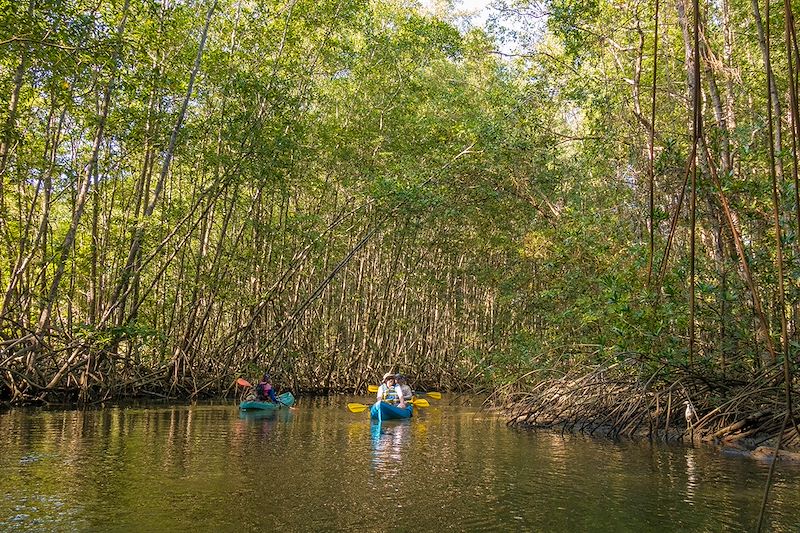 Kayak dans la péninsule d'Osa - Costa Rica