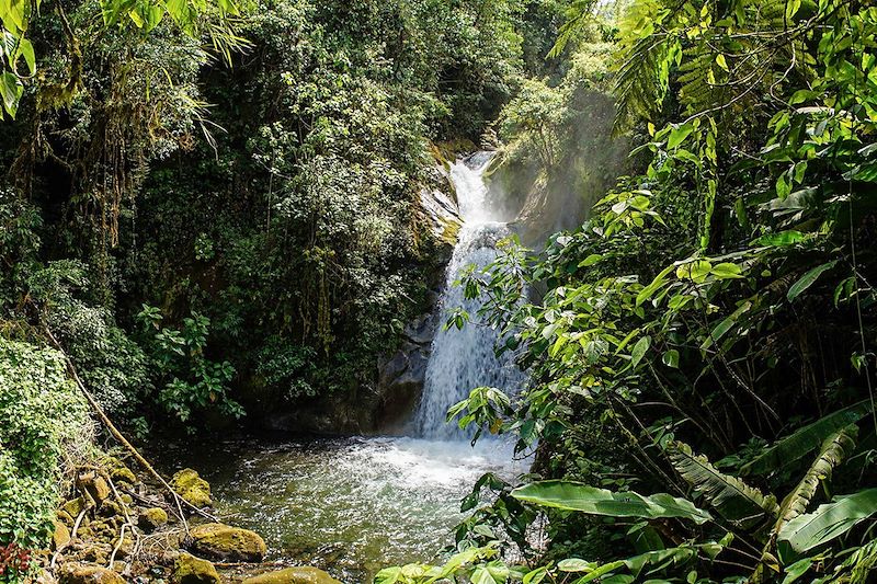 Pura Aventura