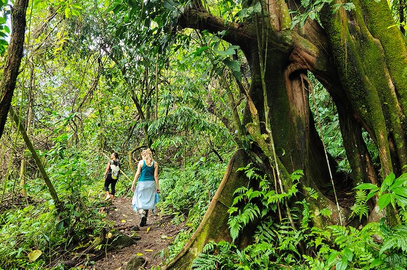 Randonnée à La Leona - Costa Rica