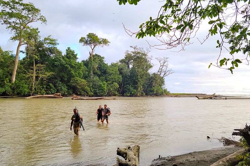 Randonnée à Sirena - Parc national Corcovado - Costa Rica