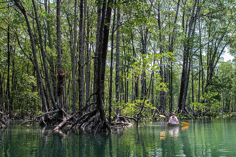 Du Rio Sierpe au parc national Corcovado - Costa Rica