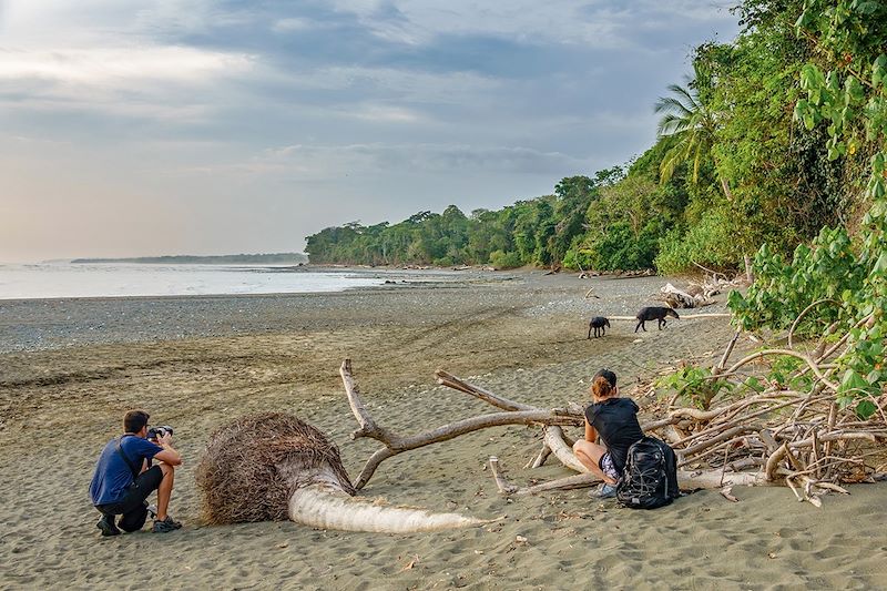 Plage bordant la forêt du Corcovado - Costa Rica