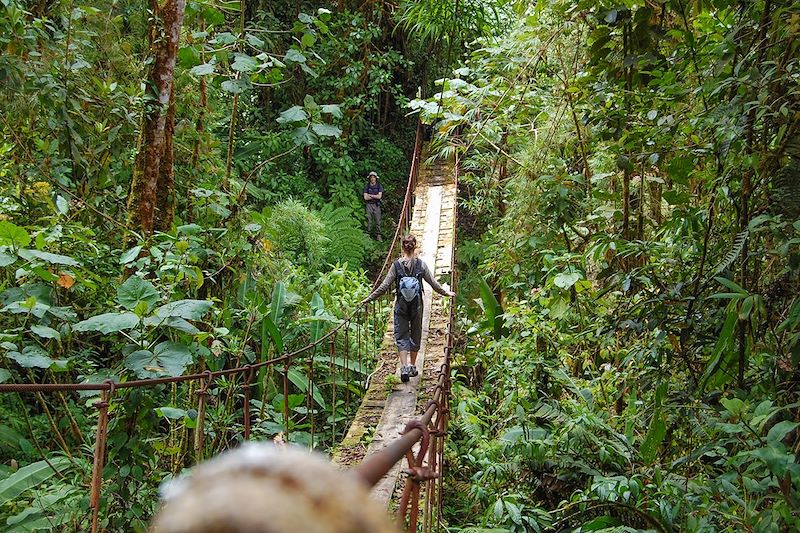Trésors du Costa Rica 
