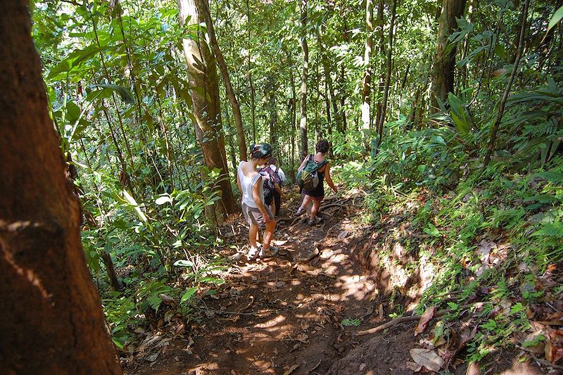 Trésors du Costa Rica 