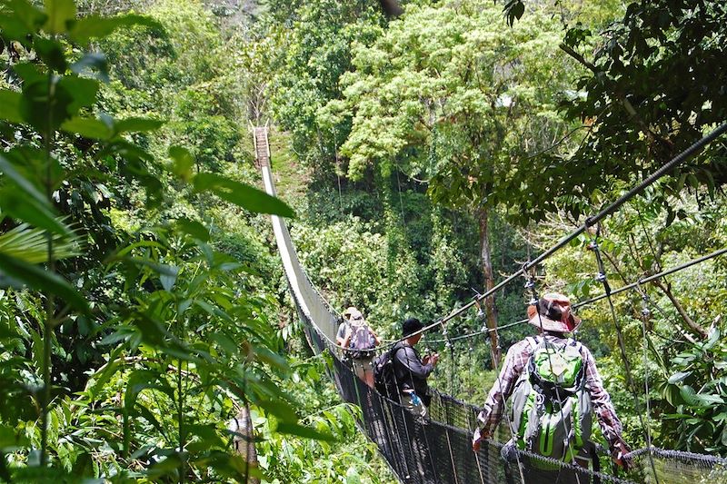Pont suspendu près du village de Los Campesinos - Costa Rica