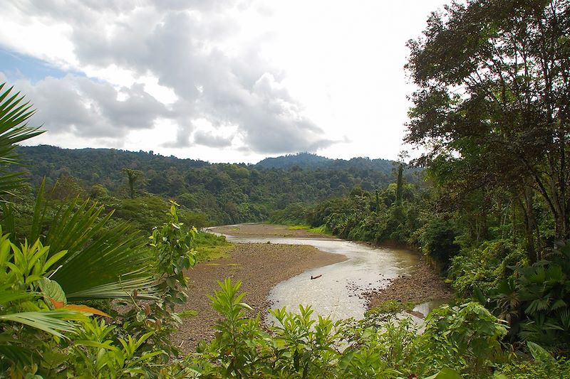 Cours d'eau dans la forêt - Territoire Bri Bri - Costa Rica
