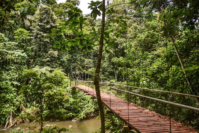 Puerto Viejo de Talamanca - Province de Limón - Costa Rica