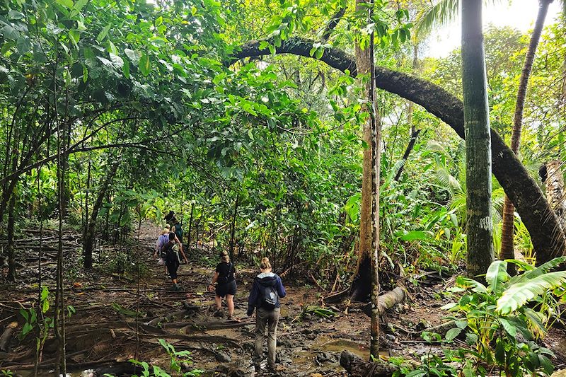 Randonnée à la station San Pedrillo - Parc national du Corcovado - Costa Rica