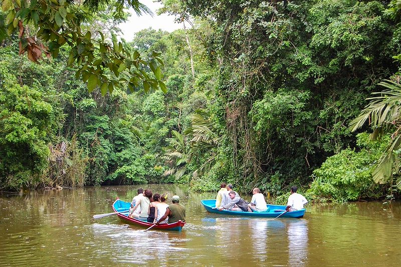 Sur les traces des animaux de la Jungle !