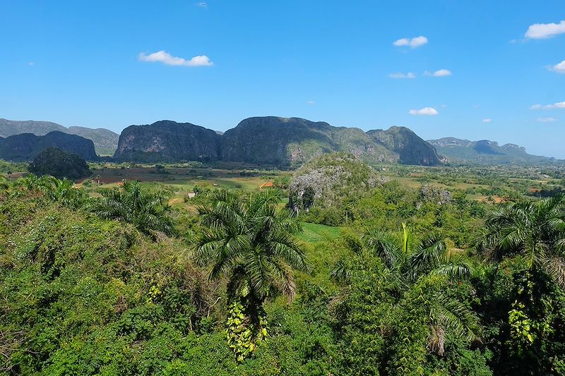 Randonnée dans la région de Vinales - Cuba