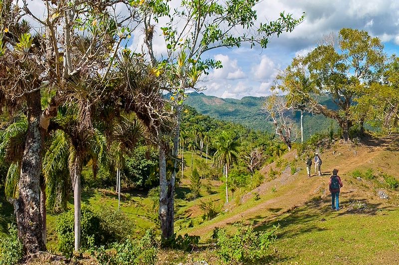 Le parc naturel de Topes de Collantes dans l'Escambray - Cuba