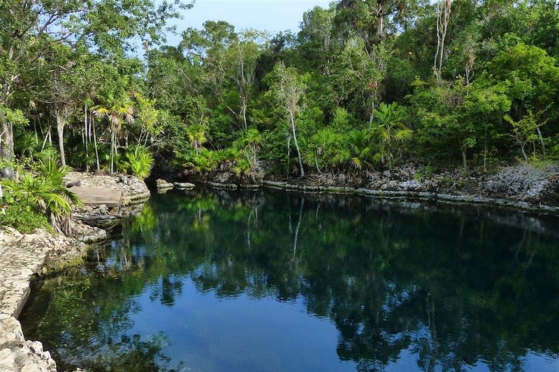 Cueva de los peces - Playa Larga - Cuba