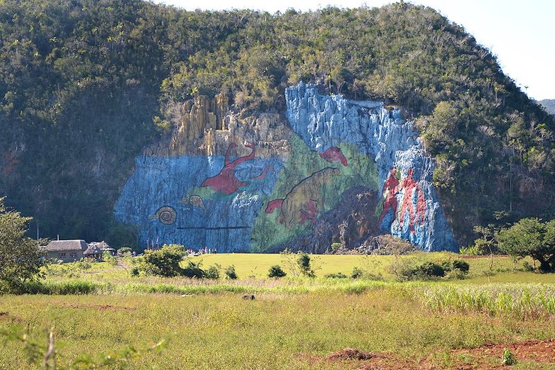 Mur de la préhistoire dans la Vallée de Viñales - Cuba 
