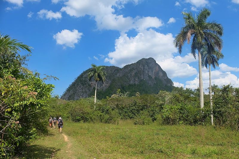 Randonnée dans la région de Vinales - Cuba