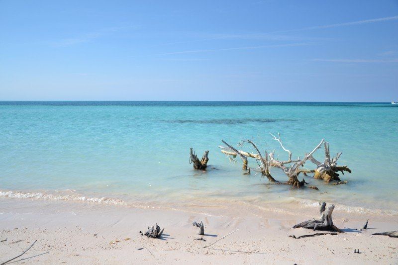 Cayo Jutias - Cuba