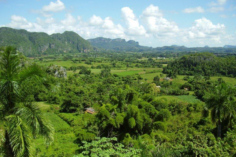 Vallée de Vinales et ses Mogotes