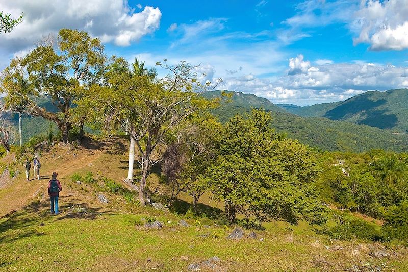 Le parc naturel de Topes de Collantes dans l'Escambray - Cuba