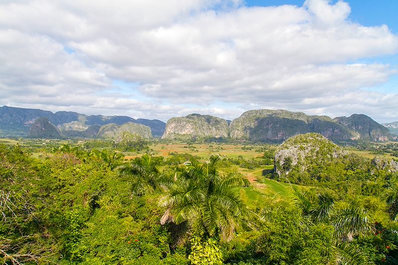 Viñales - Cuba