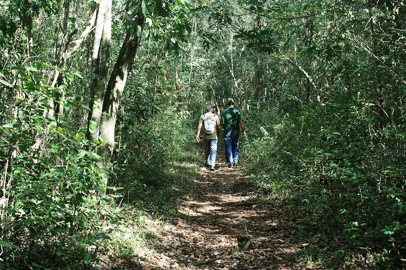 La réserve naturelle de Jobo Rosado - Cuba