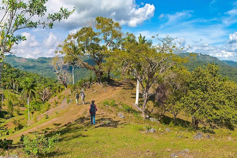 Le parc naturel de Topes de Collantes dans l'Escambray - Cuba