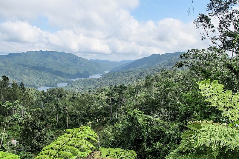 Parc Naturel de Topes de Collantes - Province de Sancti Spiritus - Cuba