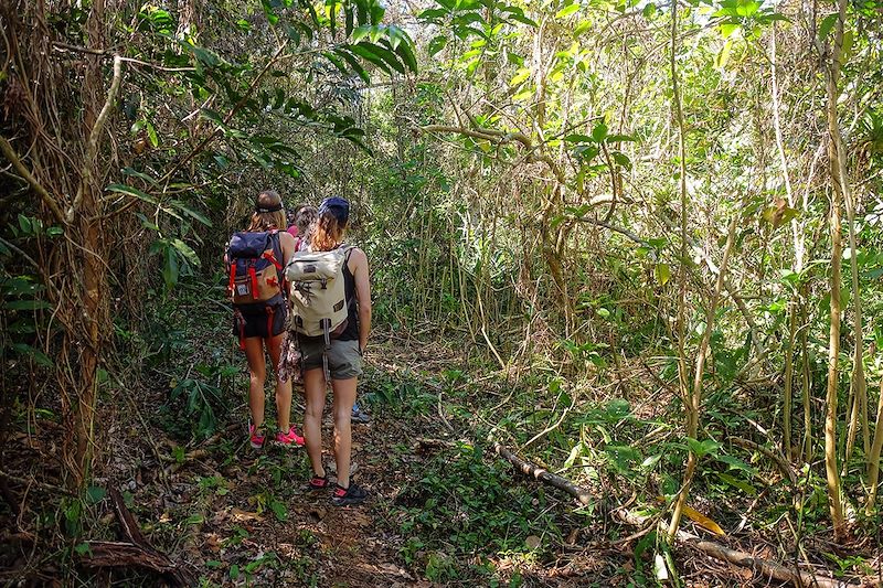 Randonnée dans le massif de l'Escambray - Cuba