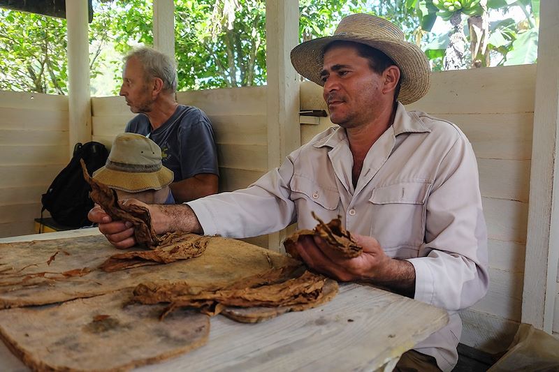 Visite d'une exploitation de tabac dans la région de Vinales - Cuba