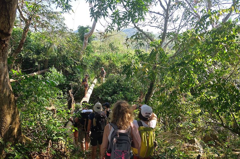 Randonnée dans la région de Vinales - Cuba