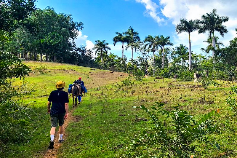 Trek Los Portales à la Vallée de Guacamaya - Cuba