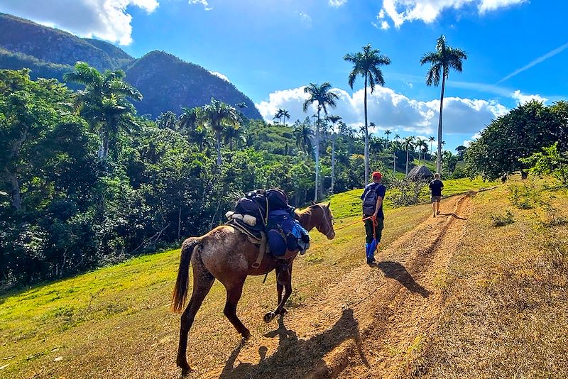 Trek Los Portales à la Vallée de Guacamaya - Cuba