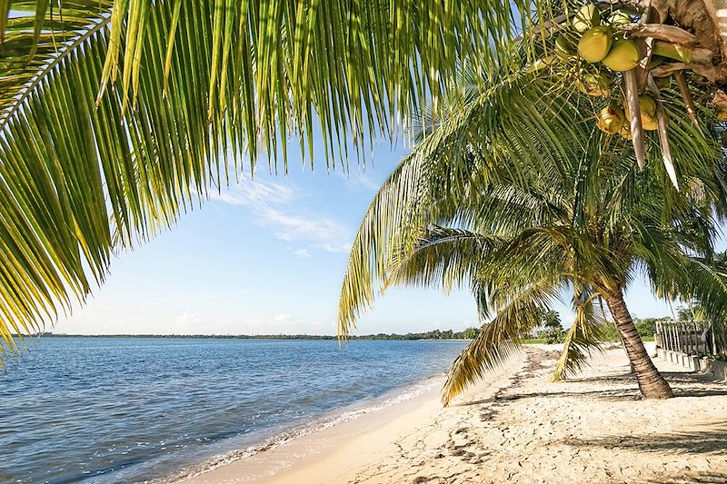 Playa Larga - Baie des Cochons - Cuba