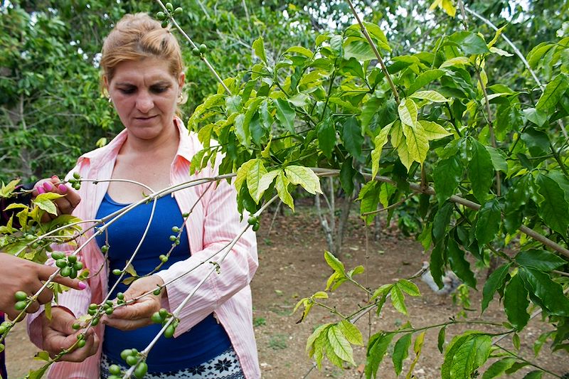 Tour des plantations de café de La Picadora avec Maria - Province de Sancti Spiritus - Cuba