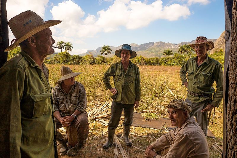 Des cultivateurs de tabac dans la vallée de Vinales - Pinar del rio - Cuba 