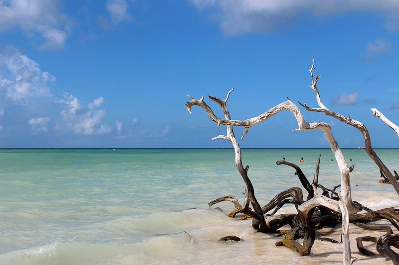 Cayo Levisa - Cuba