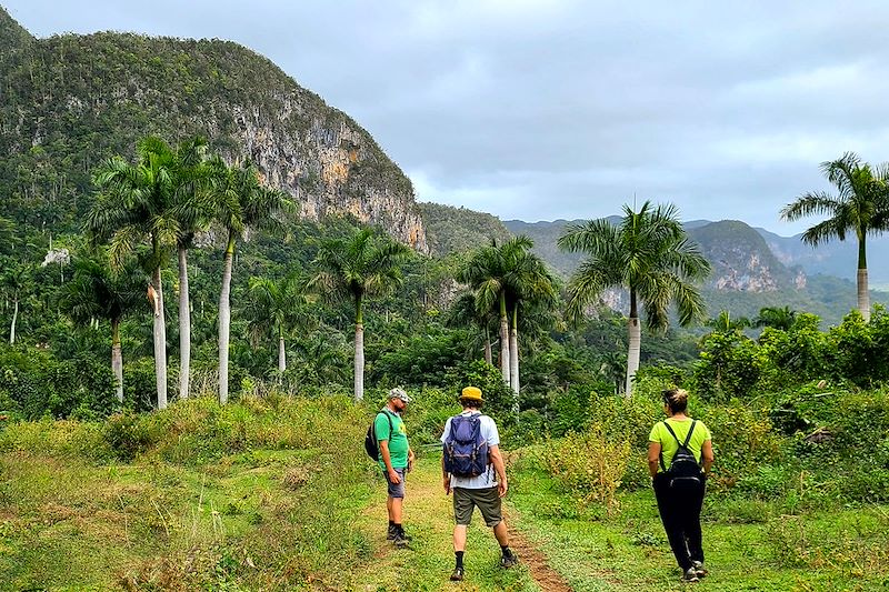 Randonnée dans la Vallée d'Ancon - Parc national de Viñales - Cuba