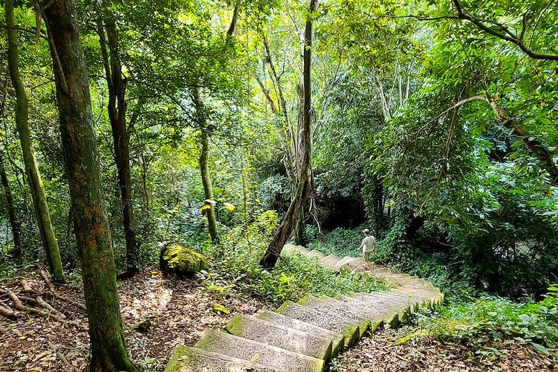 Randonnée vers la cascade de Soroa - Cuba