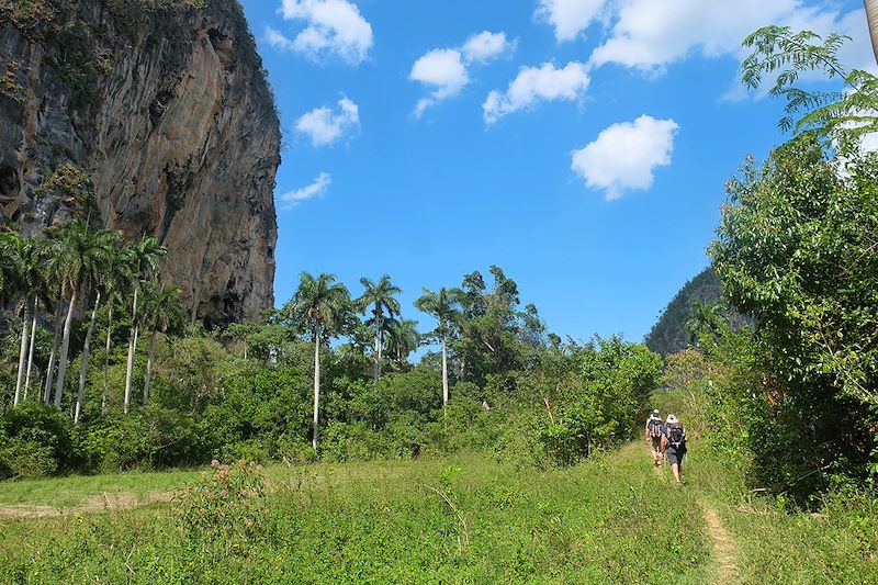 Randonnée dans la région de Vinales - Cuba