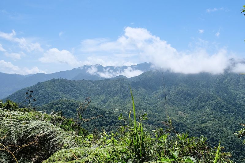 Sierra Maestra - Province de Granma - Cuba