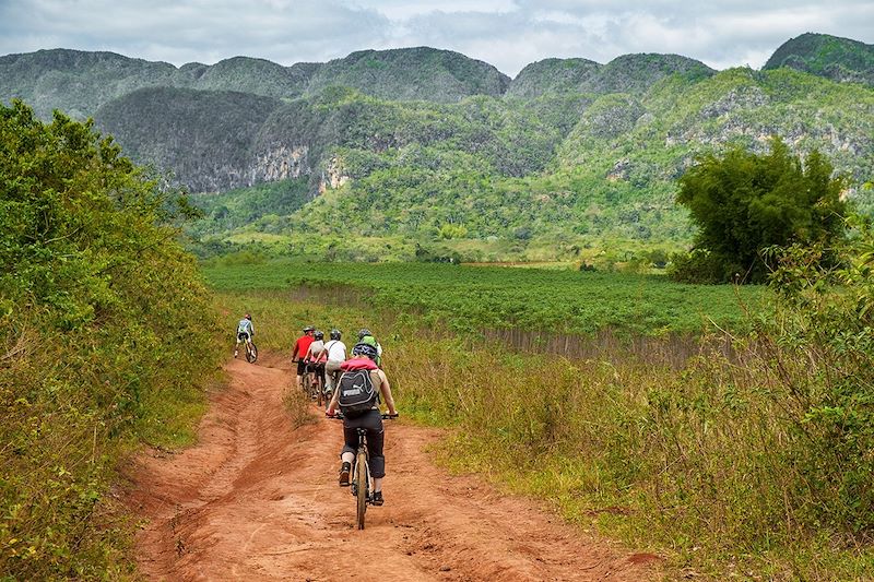 Randonnée à vélo dans la vallée de Vinales - Province de Pinar del Rio - Cuba