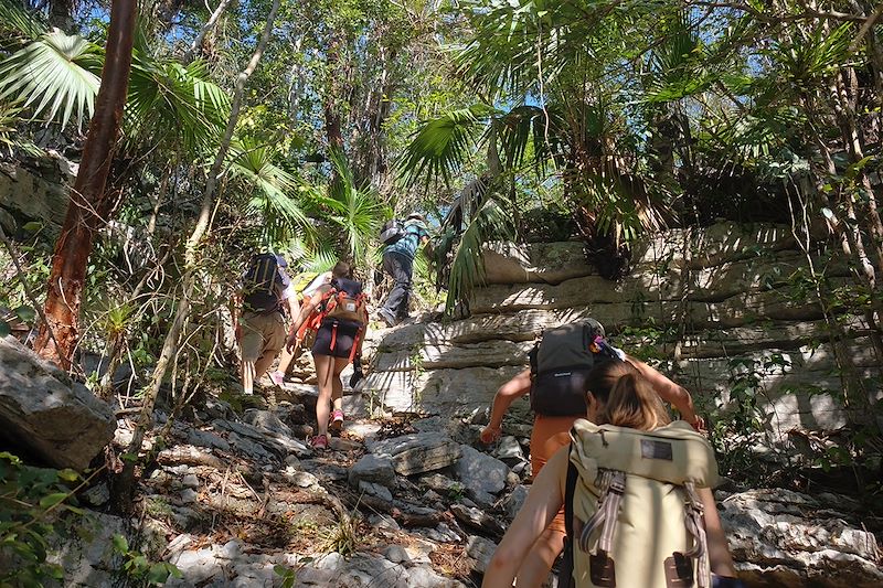 Sac repas isotherme HORIZON Tropical Forest