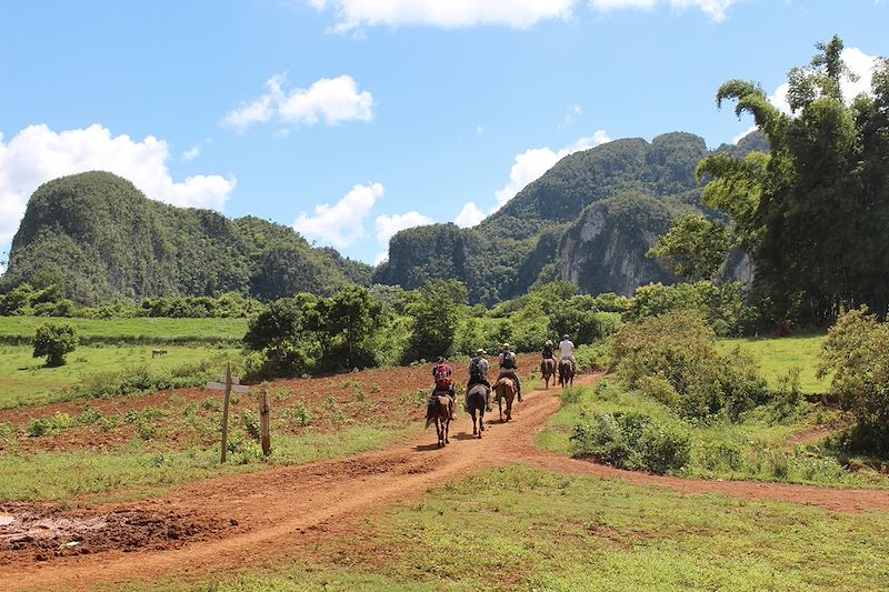 Balade à cheval dans la vallée de Vinales - Cuba