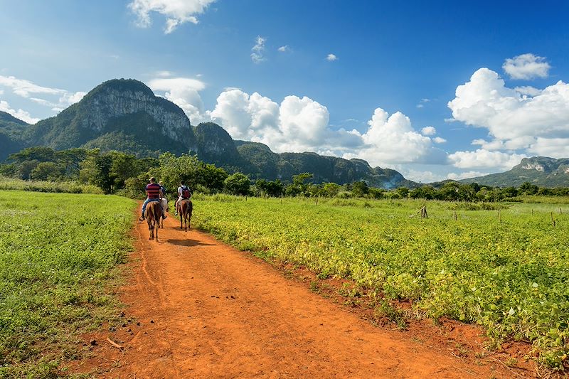 Promenade à cheval à Vinales - Cuba