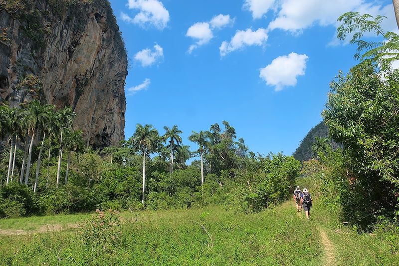 Randonnée dans la région de Vinales - Cuba