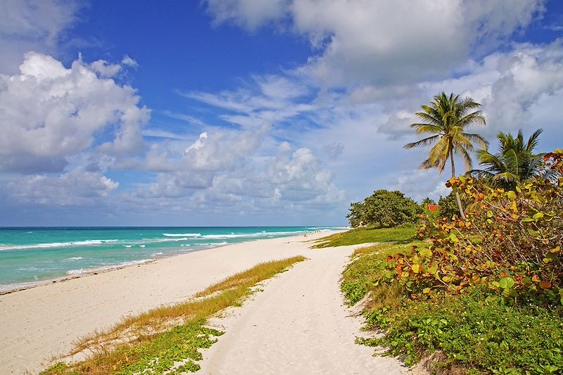  Plage parsemée de végétation à Varadero - Cuba 