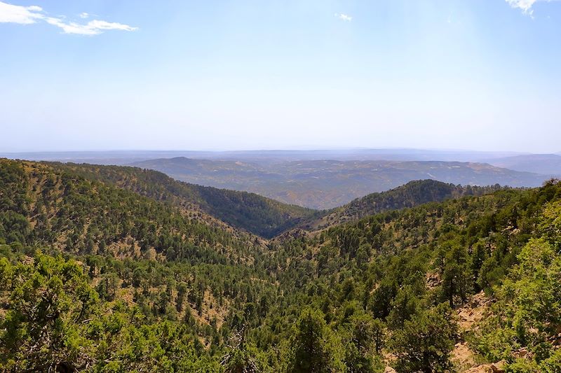 Montagnes de Troodos près du mont Olympe - Chypre