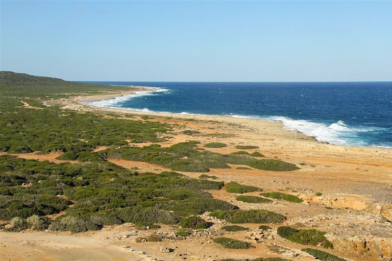 Cap Saint-André - Péninsule de Karpaz - Chypre