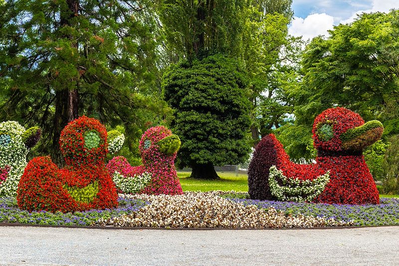 Île de Mainau - Bade-Wurtemberg - Allemagne